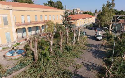 Manutenzione Verde Pubblico Privato Catania Cestello