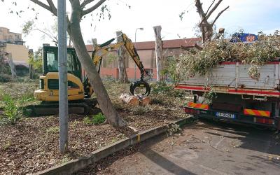 Movimentazione Tronchi Pinza Catania