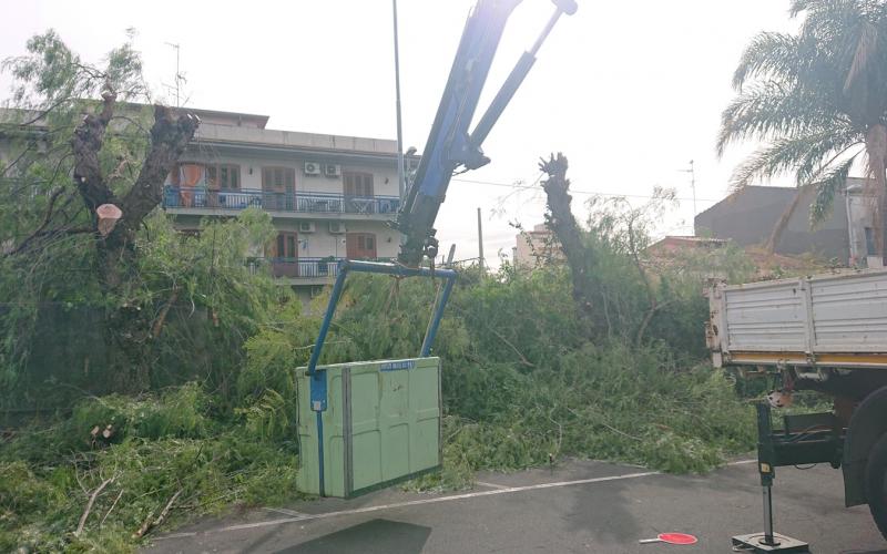 Piattaforma Aerea Cestello Taglio Alberi Catania